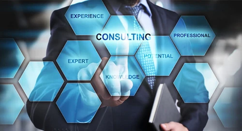 ІТ-консалтинг (IT-consulting) ІТ-консалтинг (IT-consulting)
